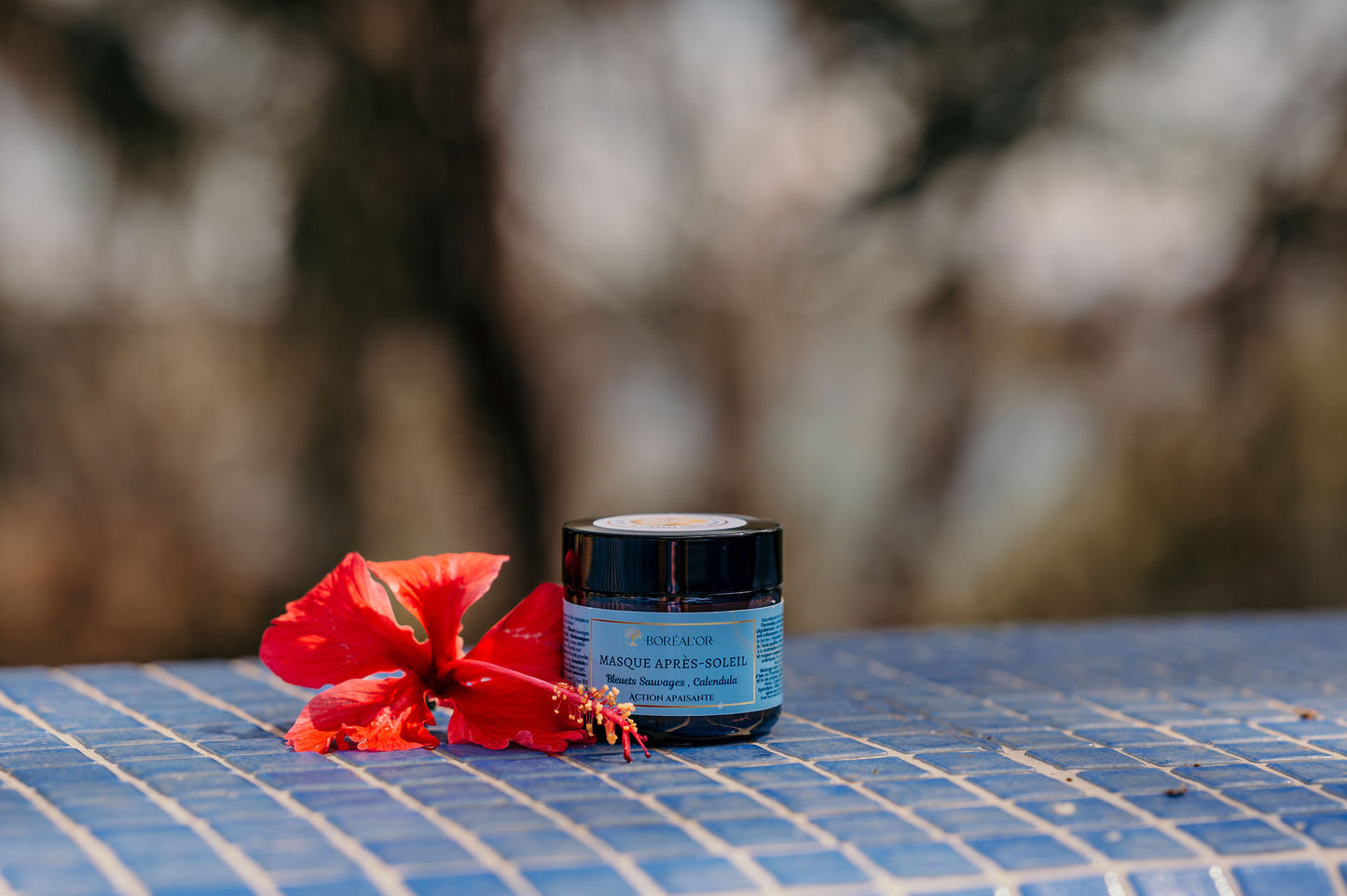 Masque Bleuets sauvages et biocomplexe marin