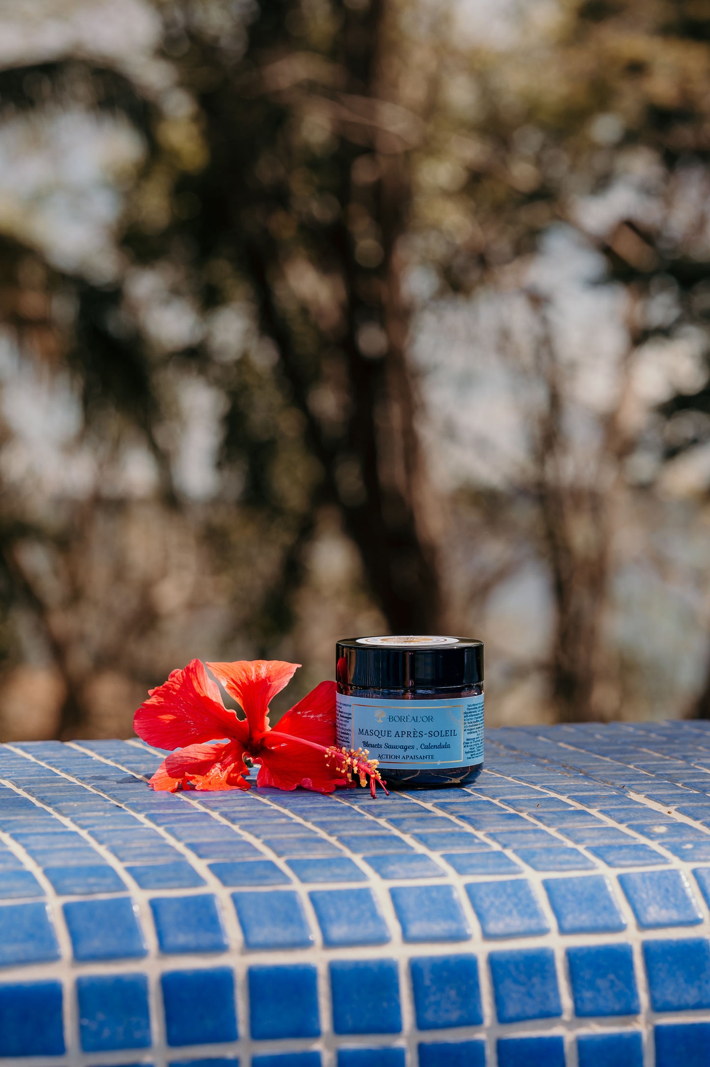 Masque Bleuets sauvages et biocomplexe marin
