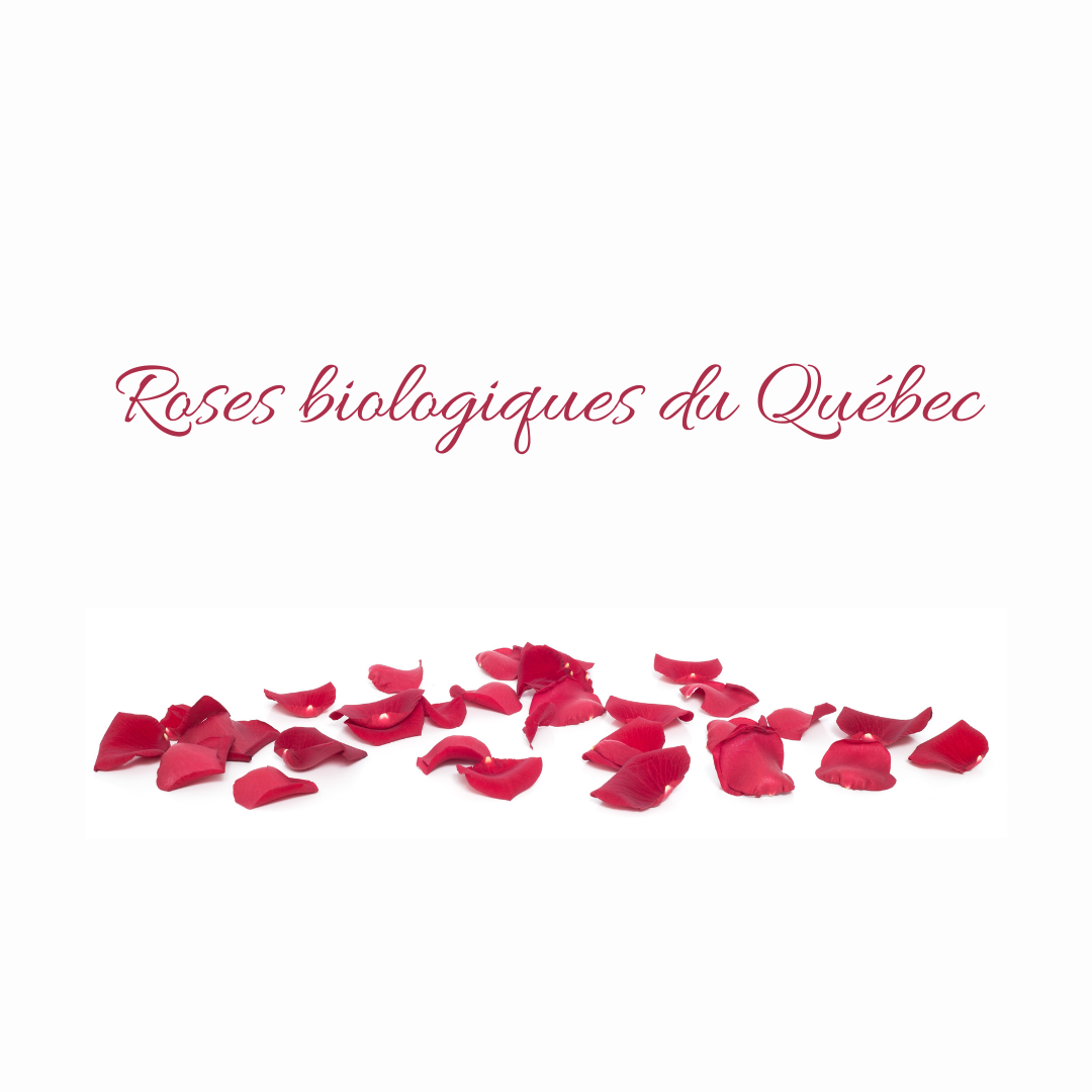 Sel de bain: Douce Rosie - Pure Élégance florale Québécoise ( Rose )